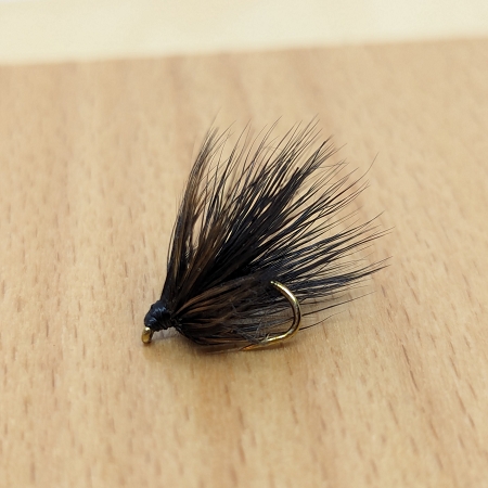 Black Sedge