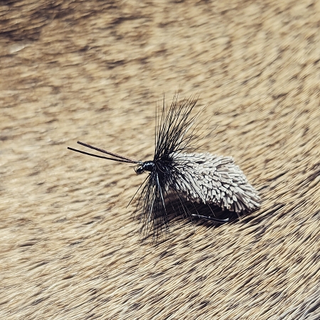 Goddard Caddis Black