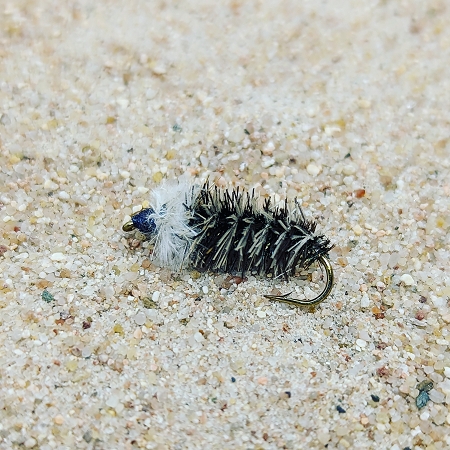 Housebuilding Nymphe