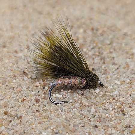 Olive Streaking Caddis