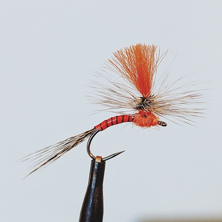 Orange Tip Quill Parachute