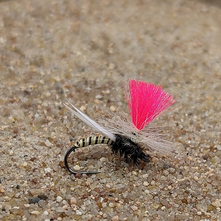 Pink Fin Parachute