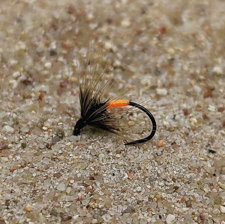 Tiny Orange Spot Peacok